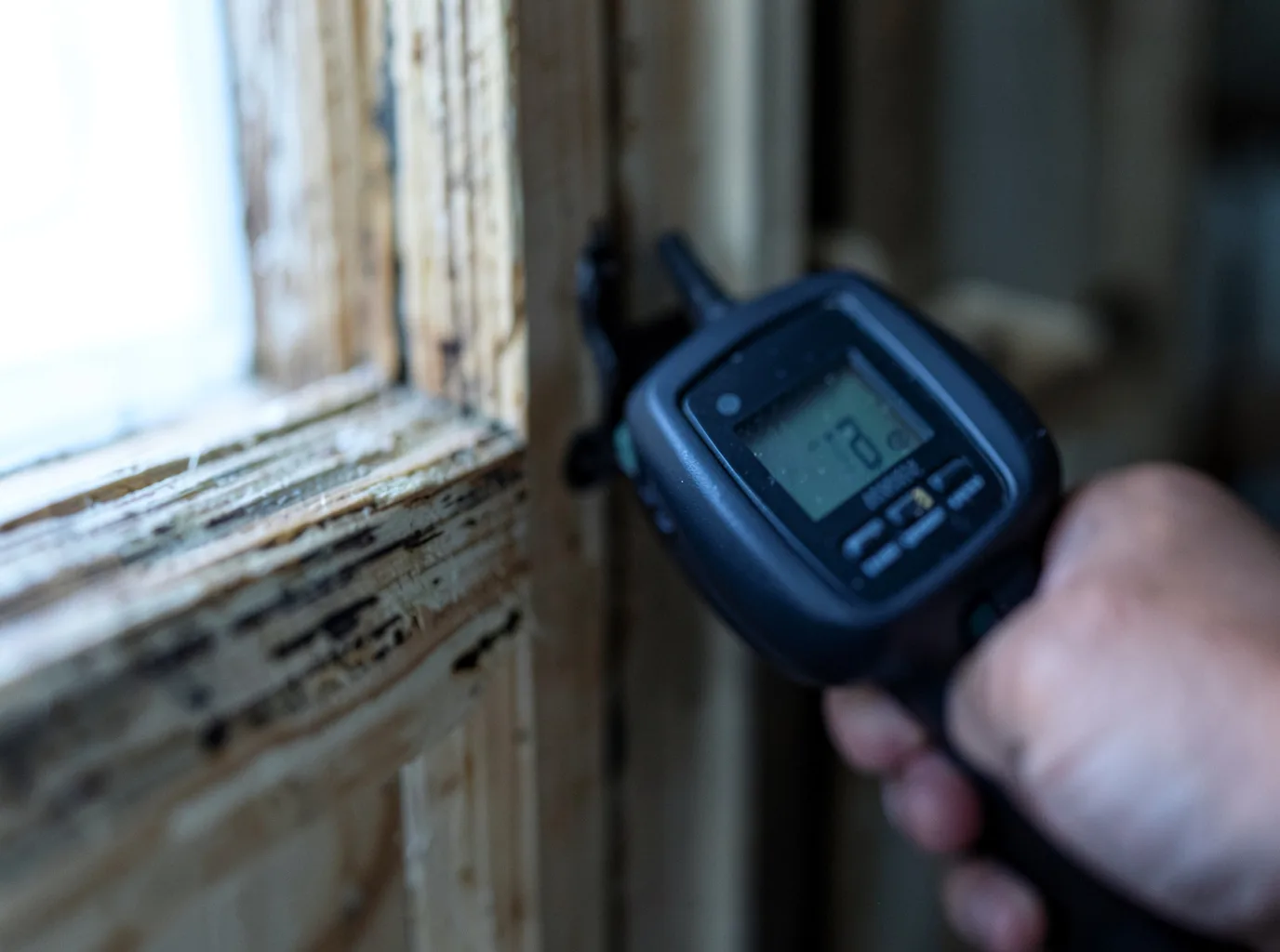 Moisture Inspection And Documentation in Hegins, PA